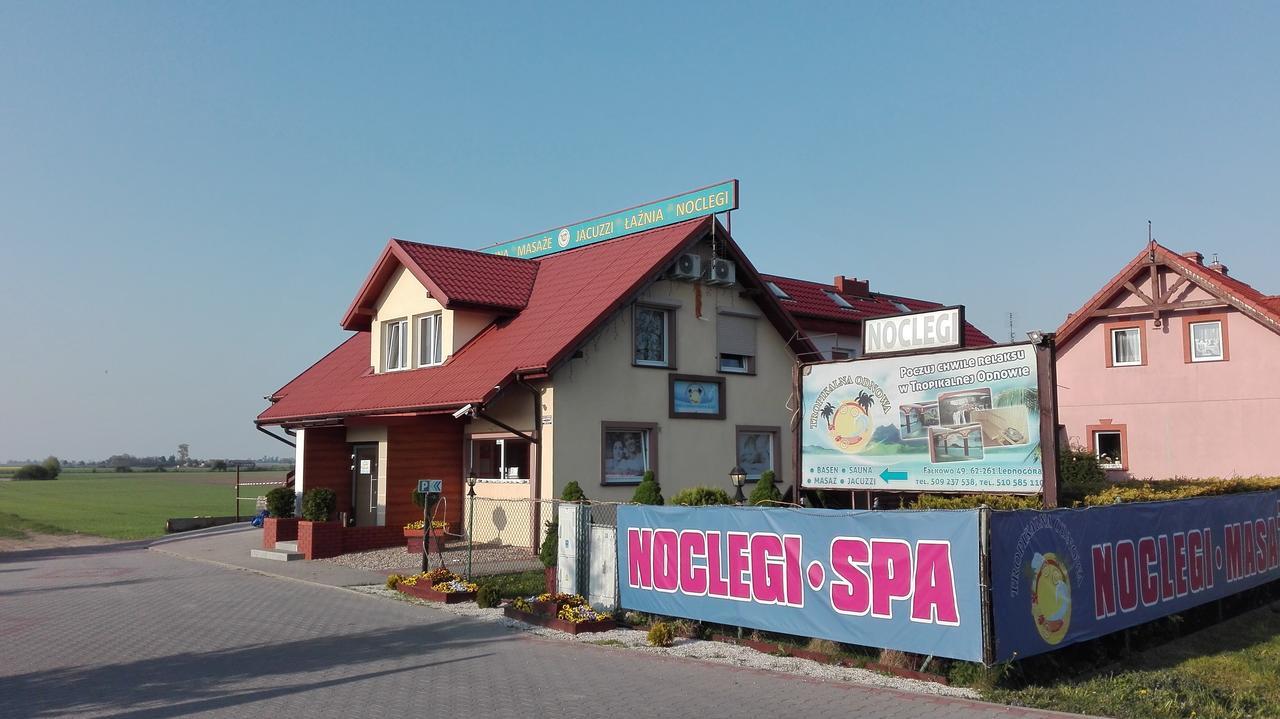 Tropikalna Odnowa Bed & Breakfast Falkowo Екстериор снимка
